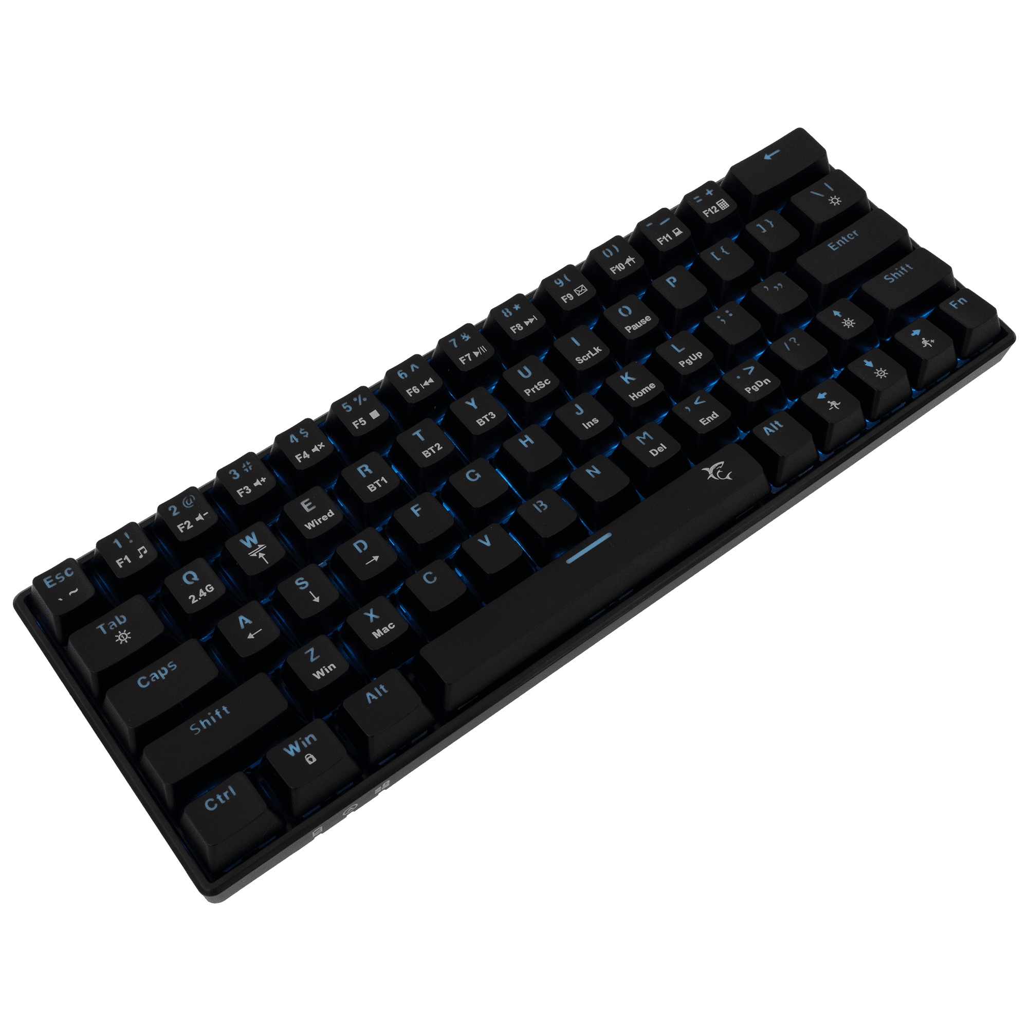 KAIKEN-2